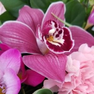 Meet your Posher, Lori